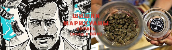ГАЛЛЮЦИНОГЕННЫЕ ГРИБЫ Рославль