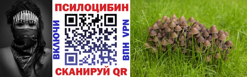 купить  цена  Харабали  Галлюциногенные грибы мицелий 