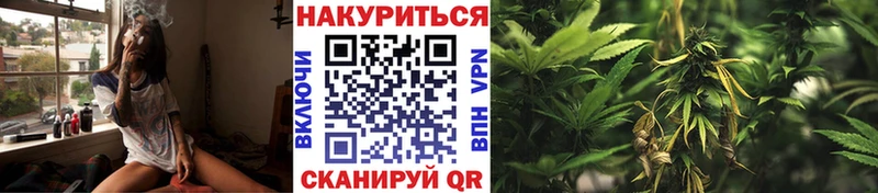 Бошки Шишки гибрид Харабали